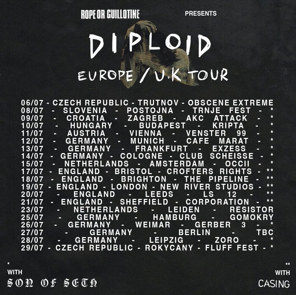 Diploid’s European starts tomorrow!