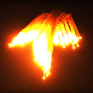 Dis Fig & The Body - Orchards of a Futile Heaven