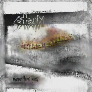 Taser & Stain - Waste Meat / Murder Principles